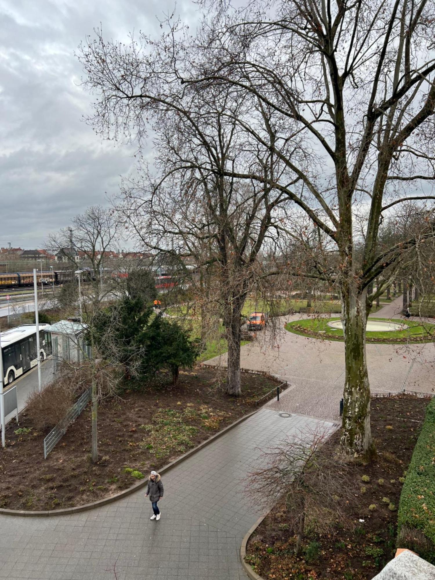 Albert-Schulte-Park Apartment- Worms Exterior foto